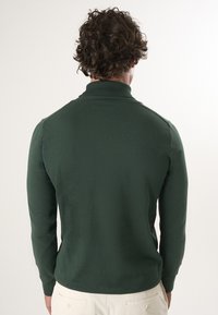 Grüner Strickpullover mit hohem Kragen, langen Ärmeln und glatter Textur. Der Rücken hat einen gerippten Kragen und Schulternähte.
