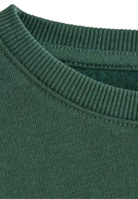 Grøn crew neck sweater med ribbet halsudskæring, blød tekstur og strikket stof. Kroppe har en glat finish uden mønstre eller grafik.