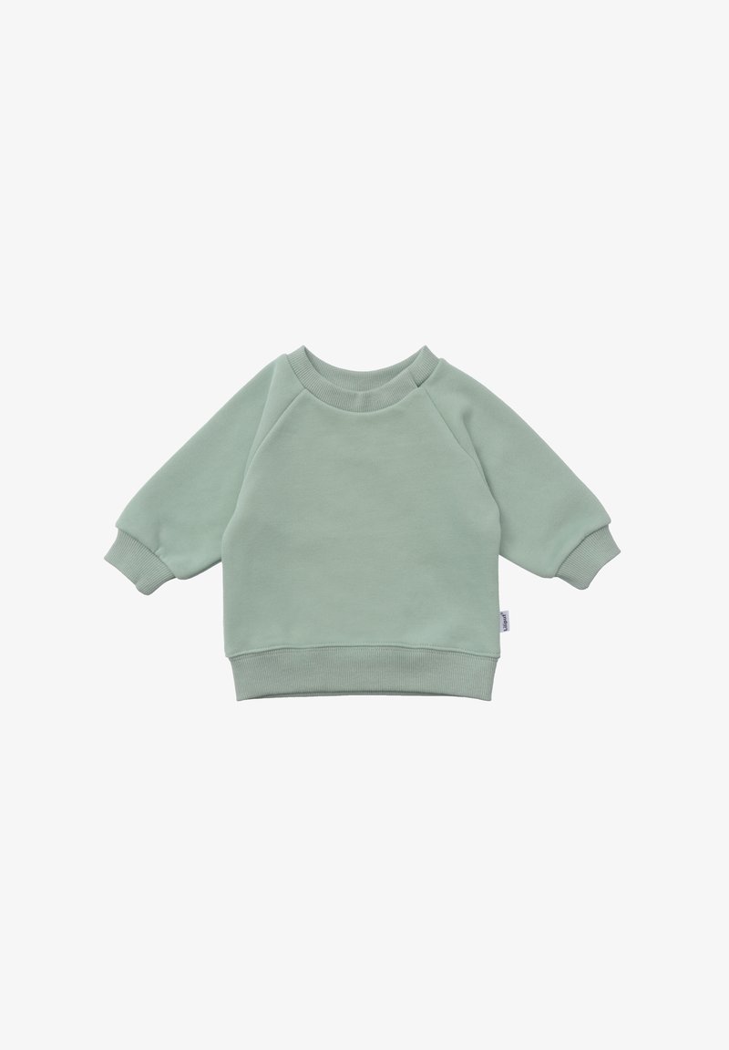 Grüner Baumwollpullover mit rundem Halsauschnitt, langen Raglanärmeln sowie gerippten Bündchen und Saum. Glatte Textur ohne sichtbare Muster.