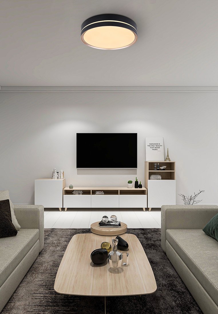 GLOBO Lighting Plafoniera - Immagine 2