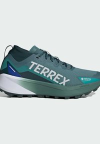 Scarpe da corsa Terrex in tonalità di teal e verde scuro, con una tomaia in mesh traspirante, una soletta ammortizzata e una suola in gomma testurizzata.