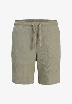 Jack & Jones, Plus Size Loose Fit - Shorts - seagrass