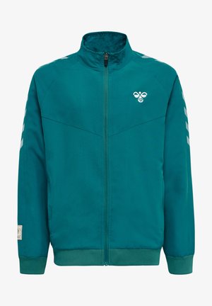 Veste zippée en teal avec un col montant, des poignets et un ourlet côtelés. Présente un logo sur la poitrine et des motifs rayés sur les épaules. Tissu lisse.