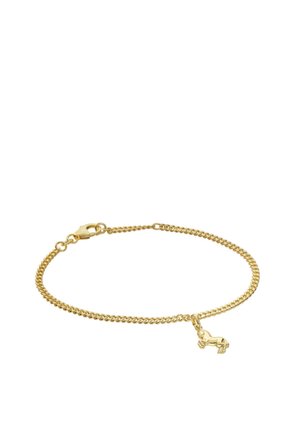 Goldene Gliederkette mit einem kleinen, pferdeförmigen Anhänger und einem Karabinerverschluss vor weißem Hintergrund.