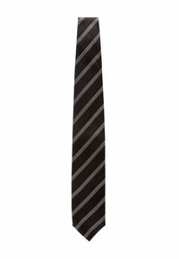 TEXTURED REGULAR - REGULAR FIT - Kravata - brown and blue