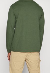 Patagonia Långärmad tröja - green