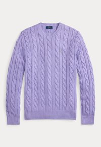DRIVER LONG SLEEVE PULLOVER - Πουλόβερ - sky lavendar