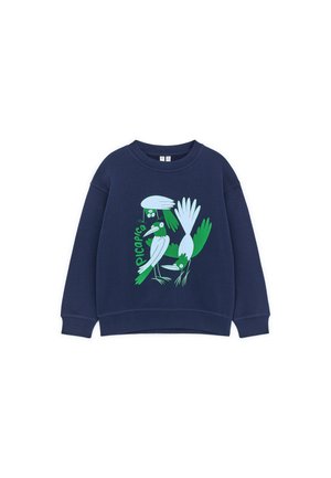 Sudadera azul marino con un gráfico de tres pájaros abstractos verdes y azul claro con el texto "picapica" en el frente.