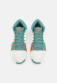 Nike Performance Obuwie do koszykówki