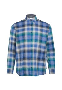 Knopenhemd in een blauw, groen en wit ruitpatroon. Dit shirt heeft een standaard kraag en lange mouwen. Gemaakt van lichtgewicht stof.