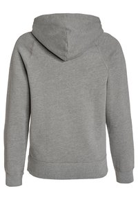 Abercrombie & Fitch Hættetrøje - light grey