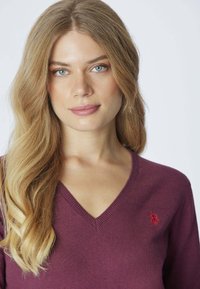 Maglione a V in maglia bordeaux profondo, con un piccolo logo ricamato rosso sul petto, texture liscia e scollo a costine.