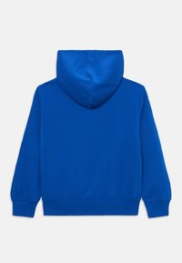 Felpa con cappuccio blu, in materiale misto cotone, con polsini e orlo a costine, caratterizzata da una texture liscia e cuciture doppie.
