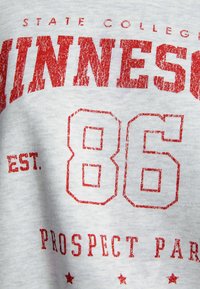 Harmaa collegepaita, jossa on punainen kulunut painatus. Teksteissä lukee "MINNESOTA", "STATE COLLEGE", "86" ja "PROSPECT PARK", pieniä tähtiä mukana.