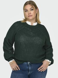 Un pulover gros din tricot de culoare verde închis, cu guler rotund, manșete cu dungi și un model texturat, purtat peste o cămașă albă cu guler.