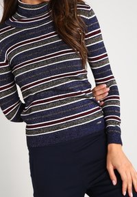 Pull à col roulé rayé bleu marine et argent avec un tissu texturé, présentant des rayures horizontales bordeaux et vert et une silhouette ajustée.