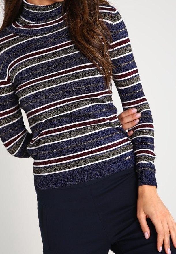 Pull à col roulé rayé bleu marine et argent avec un tissu texturé, présentant des rayures horizontales bordeaux et vert et une silhouette ajustée.