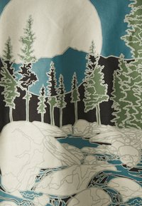 Columbia RAPID RIDGE™ BACK GRAPHIC TEE  - T-shirts med print - black