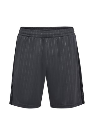 Grijze sportshorts met verticale strepen, elastische tailleband en zijpanelen in een donkerder tint, gemaakt van lichtgewicht stof.