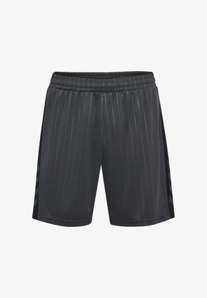 Graue Sportshorts mit vertikalen Streifen, einem elastischen Bund und seitlichen Einsätzen in dunklerer Farbe, aus leichtem Stoff gefertigt.