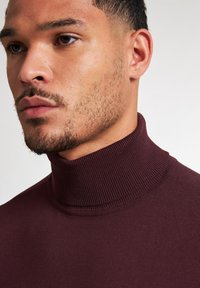 Pull en col roulé bordeaux en tissu lisse, avec un col côtelé et une coupe structurée, mettant en avant un design épuré et minimaliste.
