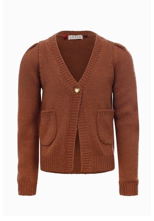 Vest - bruin