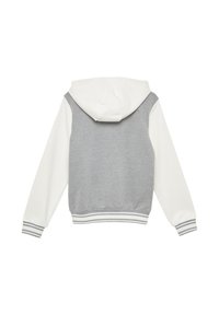 Sweatshirt à capuche gris et blanc avec une texture douce, présentant un dos gris uni, des manches blanches et un ourlet et des poignets côtelés rayés.