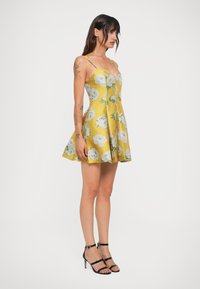 alice and olivia isa sleeveless seamed flare mini dress Isa Sleeveless Seamed Flare Mini Dress  On Sale Now with Up to 71% Off