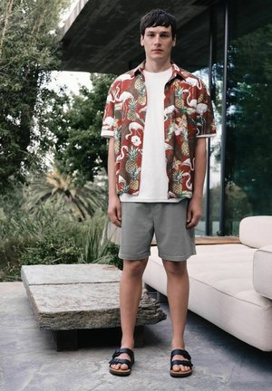 Young man standing outdoors wearing a red Hawaiian shirt with flamingos and pineapples, gray shorts, white t-shirt, and black sandals.