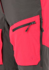 Whistler Friluftsshorts - grijs rood