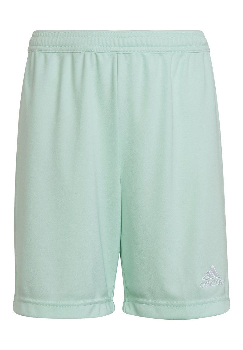 adidas Performance ENTRADA - Korte broeken - tuerkis