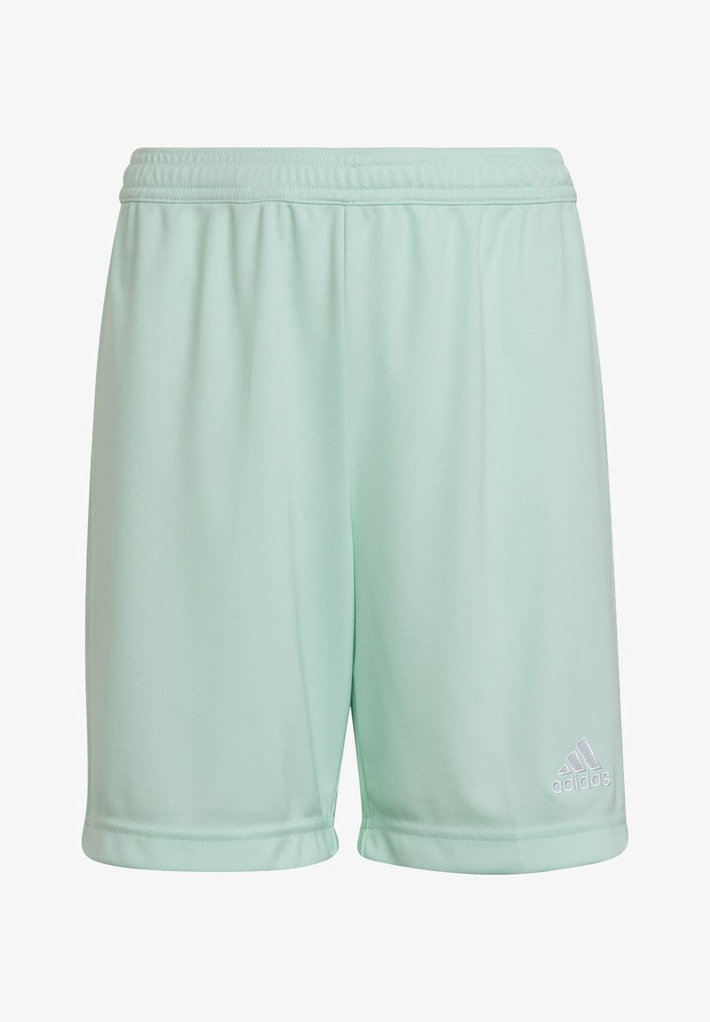 adidas Performance ENTRADA - Kurze Sporthose - tuerkis