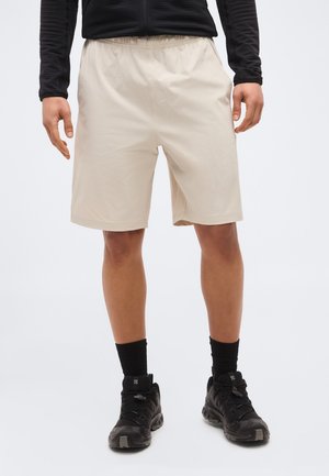 Salomon WAYFARER EASE 2.0 - Kratke hlače za zunaj - silver-coloured cloud