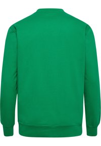 Felpa verde con maniche lunghe, polsini e bordo a coste, design a girocollo, texture del tessuto liscia e senza motivi o decorazioni visibili.