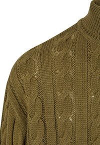 Pull à col roulé en maille torsadée de couleur vert olive. Présente un motif texturé avec des câbles torsadés et un col côtelé. Tissu en maille épaisse, douce et confortable.