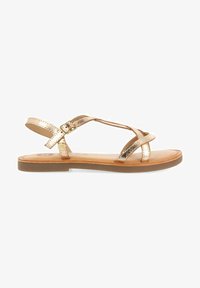 No seleccionado, platino