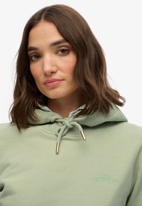 Sudadera verde clara con ojales dorados para los cordones, cuenta con un logotipo bordado de "Superdry". Textura suave, corte relajado y diseño con capucha.