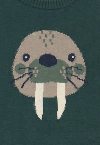 Gehaakte trui met een zeeolifantontwerp in beige en groen op een donkergroene achtergrond, met prominente slagtanden en snorharen.