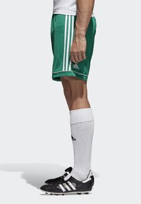 Pantaloni da calcio verdi con strisce bianche ai lati, abbinati a scarpe da calcio nere e calze bianche fino al ginocchio. Vestibilità atletica moderna.