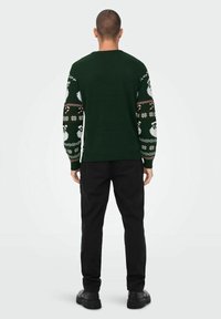 Grüner Strickpullover mit gemusterten Ärmeln in Weiß, ergänzt durch schwarze Hosen und dunkle Schuhe, von hinten betrachtet.