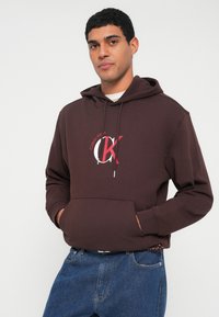 Calvin Klein Jeans GRAPHIC HOODIE - Φούτερ - rich brown