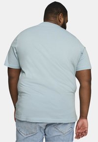 Camiseta de algodón azul claro con mangas cortas, cuello redondo y dobladillo recto, vista desde la parte de atrás en una persona que lleva puestos unos jeans de mezclilla claros.