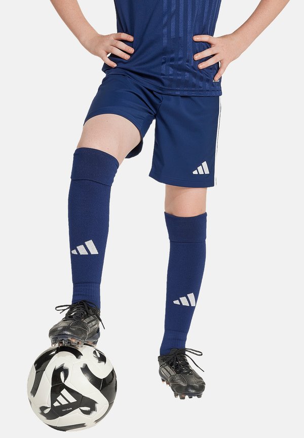 FUSSBALL - TEAMSPORT-TASTIGO 25 - Kurze Sporthose - blau