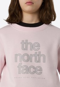 Jasnoróżowa bluza z prążkowanym dekoltem, z dużym szarym napisem: „the north face” oraz napisem „NEVER STOP EXPLORING” poniżej.