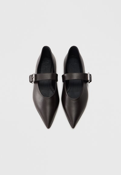 Καφέ δερμάτινα παπούτσια με μυτερή μύτη, μεσαίου πλάτους λουράκι και ρυθμιζόμενο μεταλλικό αγκράφα, με απαλή υφή και μινιμαλιστικό σχεδιασμό.
