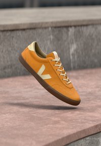 Δεν επιλέχθηκε, mango/calcaire/bark