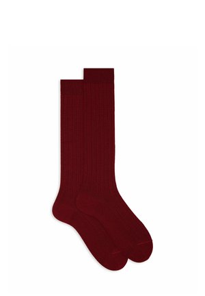 PLAIN - Calzettoni - sangue di bue