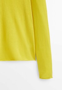 Massimo Dutti Neule - light green