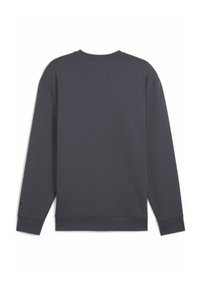Szary sweatshirt z okrągłym dekoltem, długimi rękawami i gładkim tyłem. Wykonany z miękkiego materiału, z prążkowanym dołem i mankietami.
