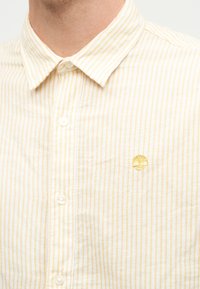 Άνδρας που φοράει πουκάμισο με κάθετες λευκές και ανοιχτοκίτρινες ρίγες και μικρό κίτρινο λογότυπο δέντρου στο στήθος.